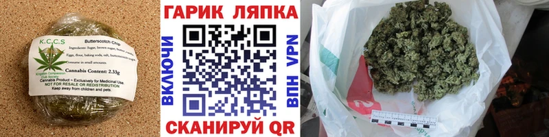 Cannafood конопля продажа наркотиков Барыш