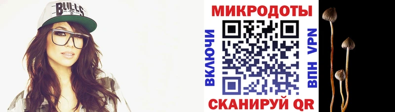 закладки Барыш Псилоцибиновые грибы Psilocybe